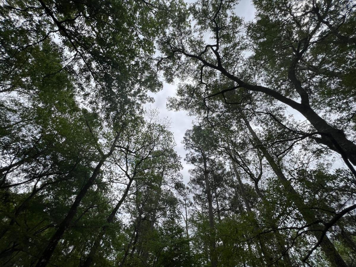 2 Bdrm Treehouse Hideout- Lake Conroe With Boat Ramp Montgomery Luaran gambar